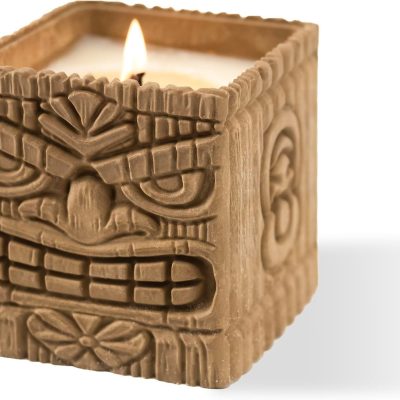 Scented Candles, Coconut & Pineapple, 9oz Large Wood Wick Candle, Soy Wax Table Torch, 60 Hours of Burn Time, Ideal Holiday Gifts for Men and Women, Perfect Summer Fragrance.